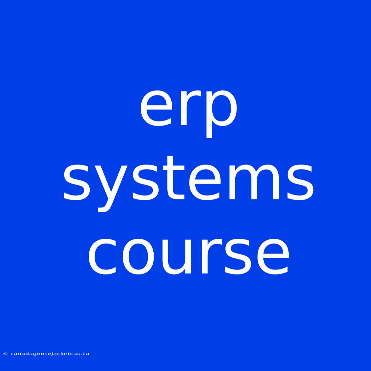 Erp Systems Course