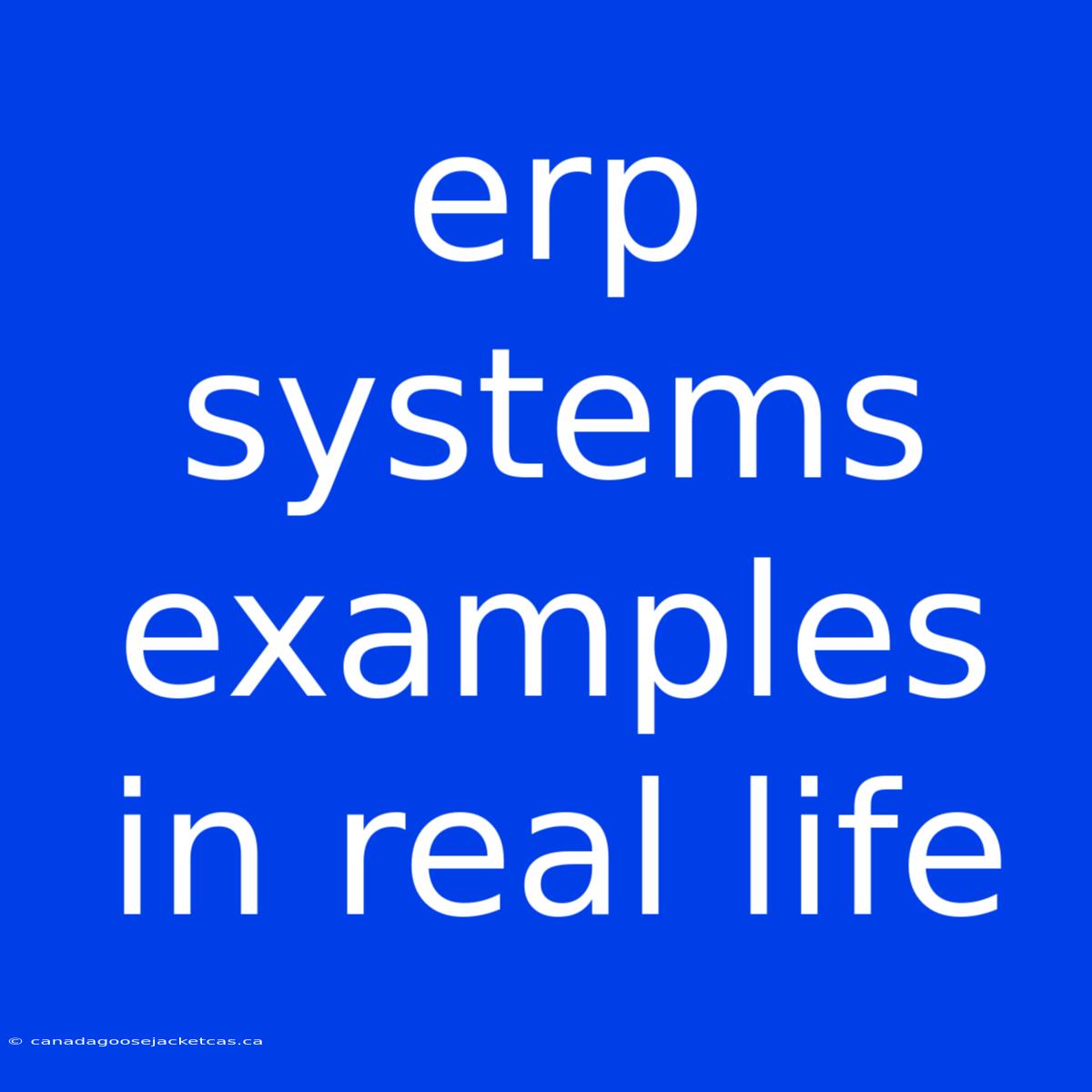 Erp Systems Examples In Real Life