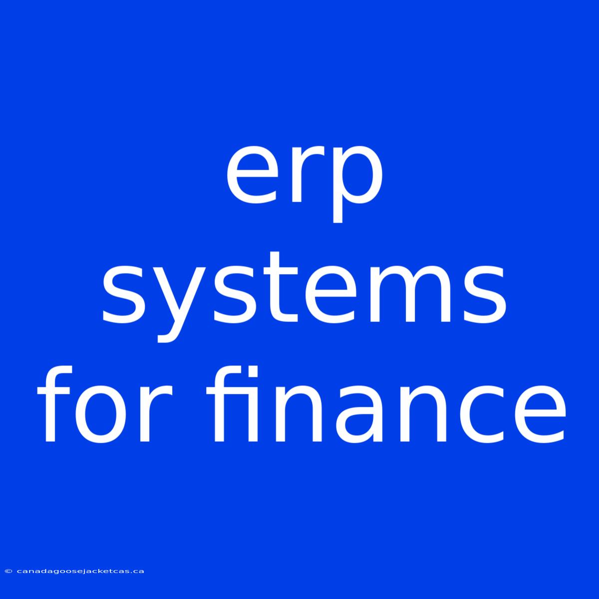 Erp Systems For Finance