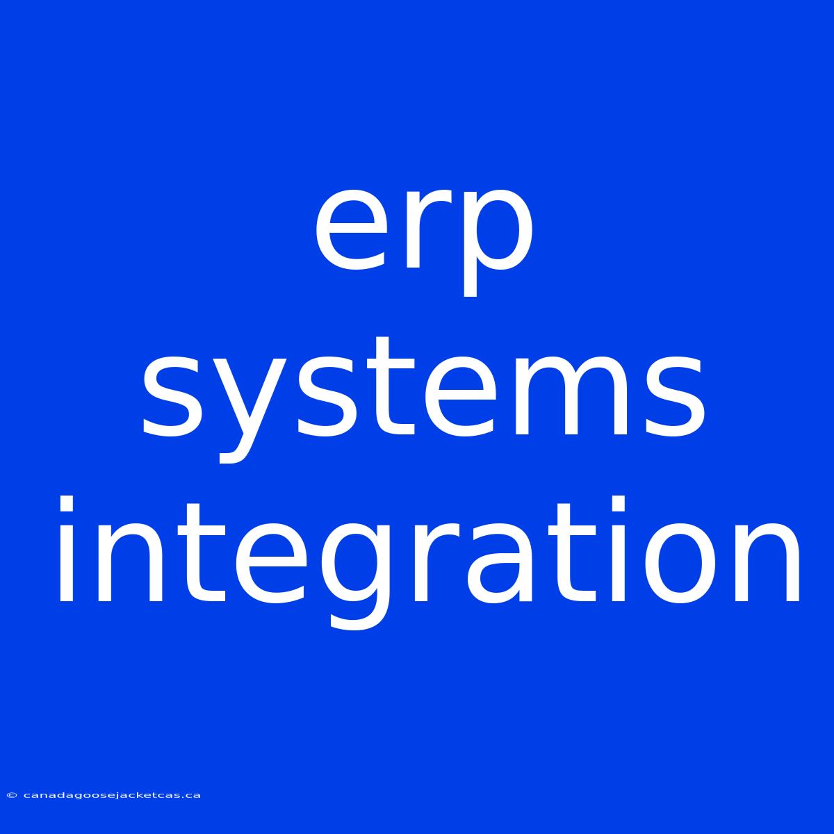 Erp Systems Integration