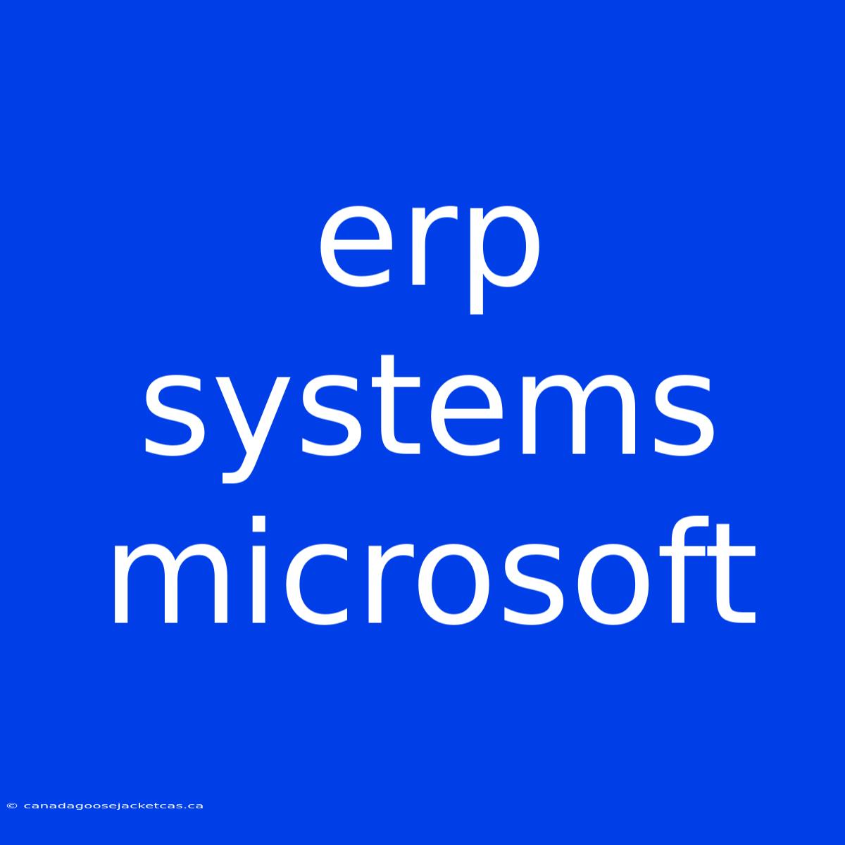 Erp Systems Microsoft