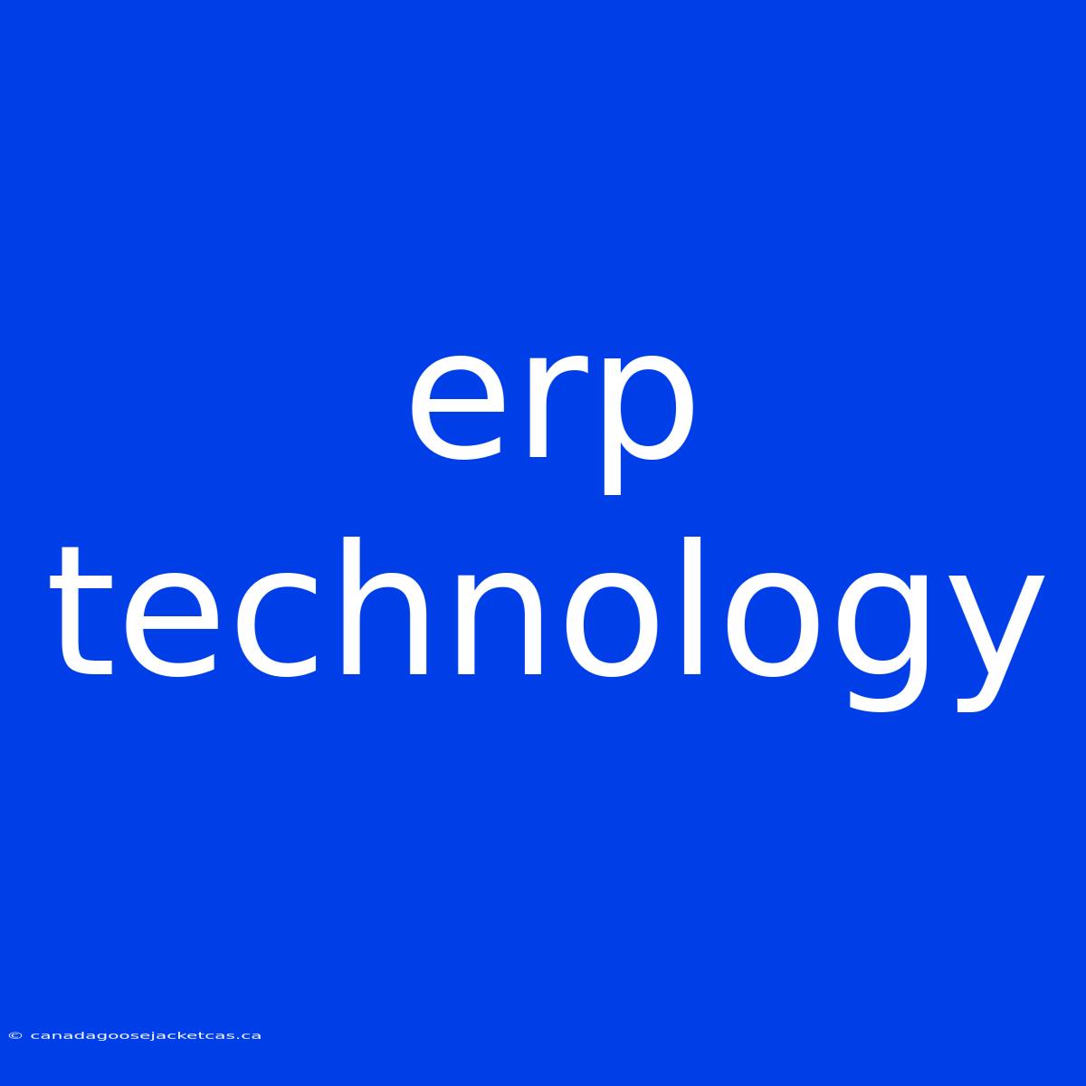 Erp Technology