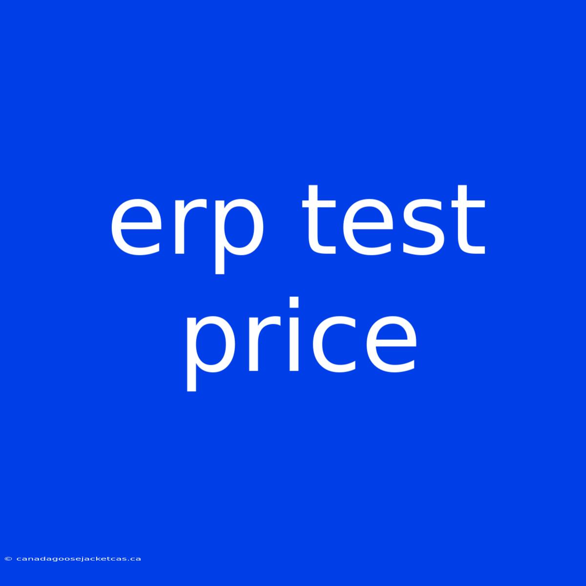 Erp Test Price