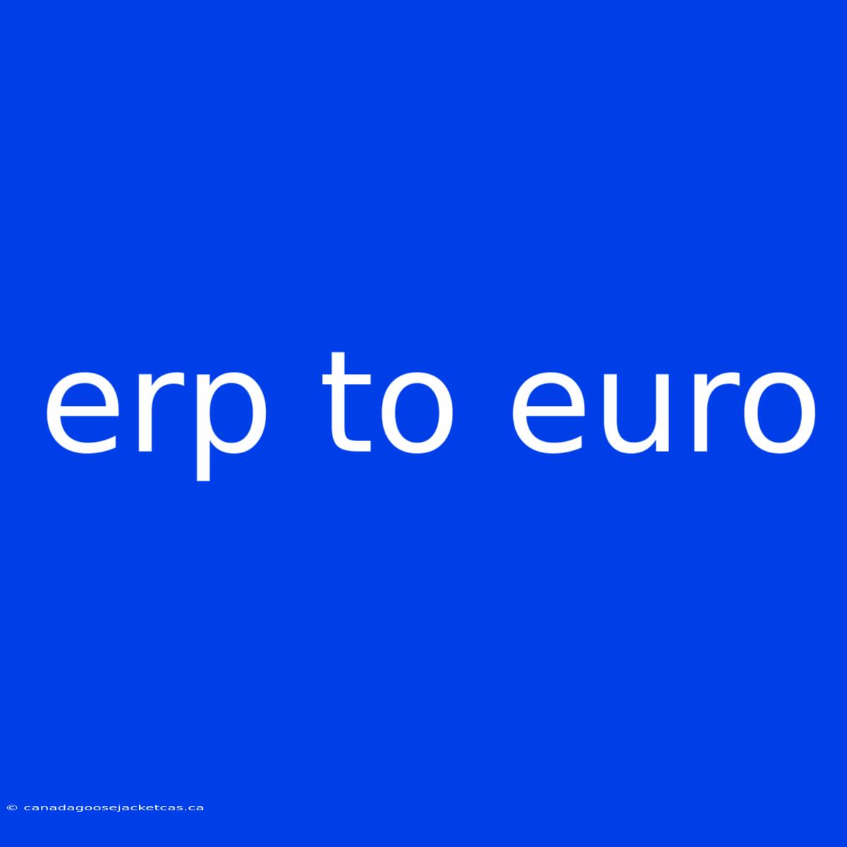 Erp To Euro