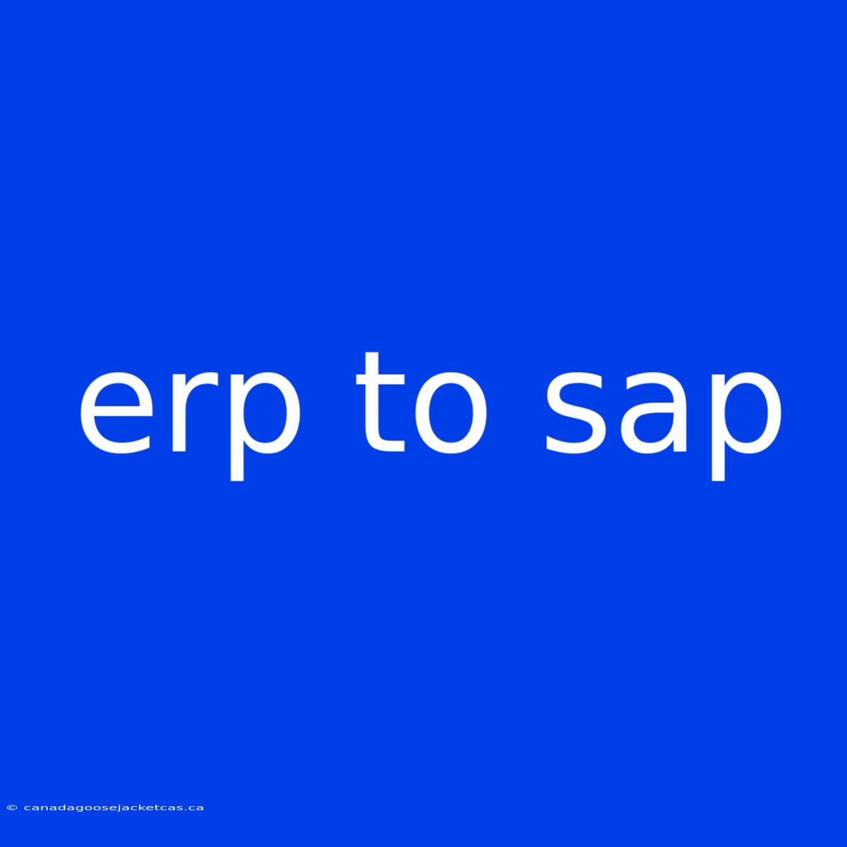 Erp To Sap