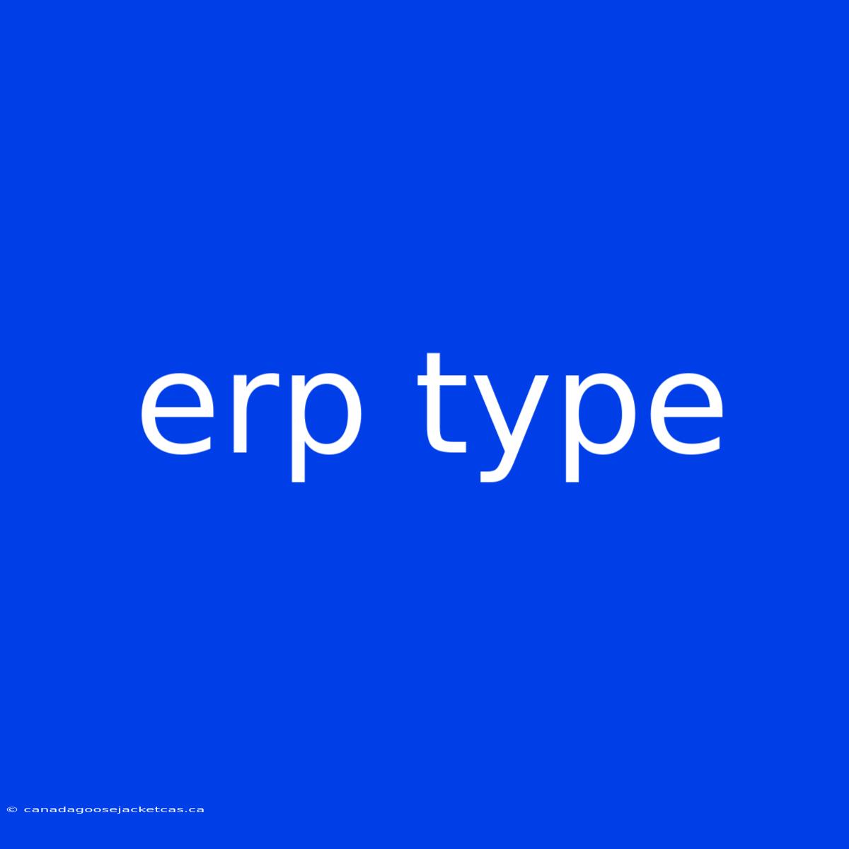 Erp Type