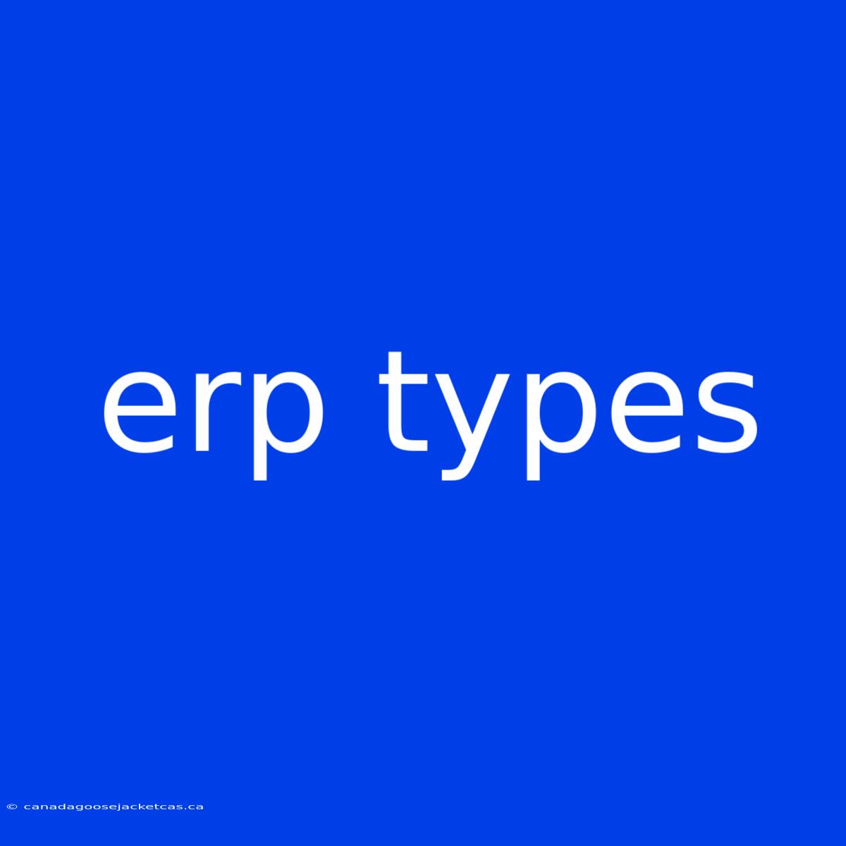 Erp Types