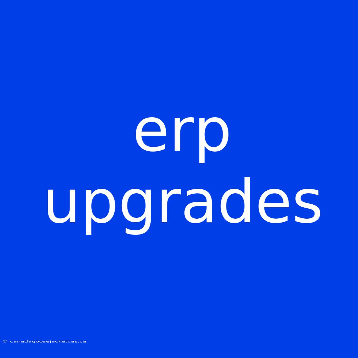 Erp Upgrades