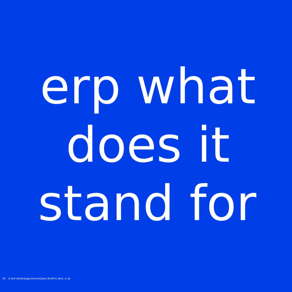 Erp What Does It Stand For