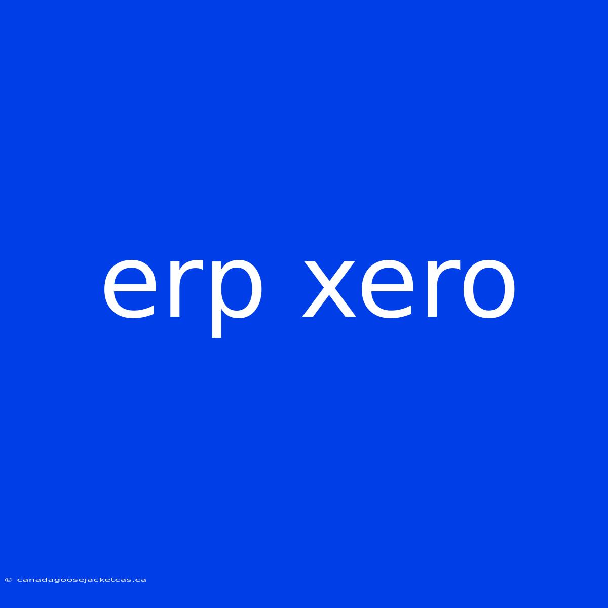 Erp Xero