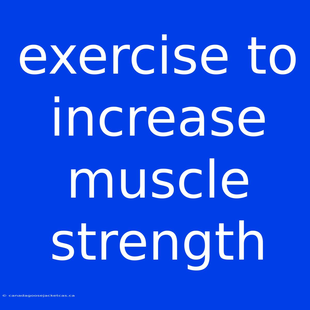 Exercise To Increase Muscle Strength