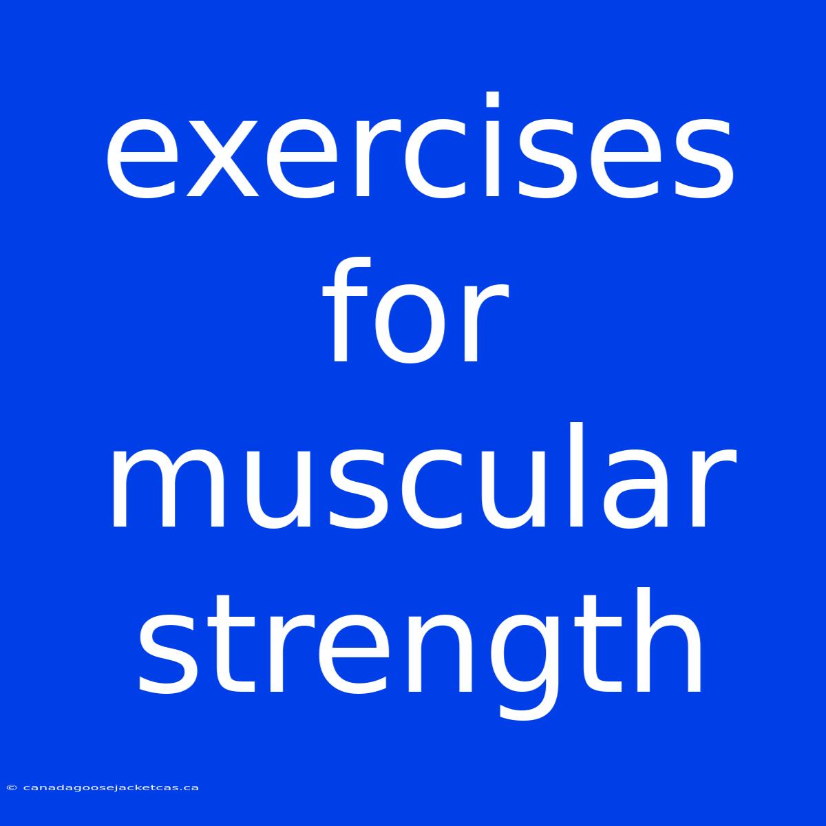 Exercises For Muscular Strength