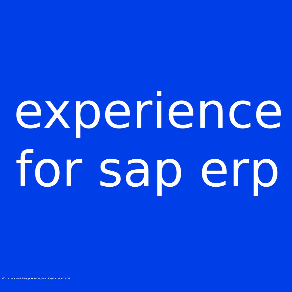 Experience For Sap Erp