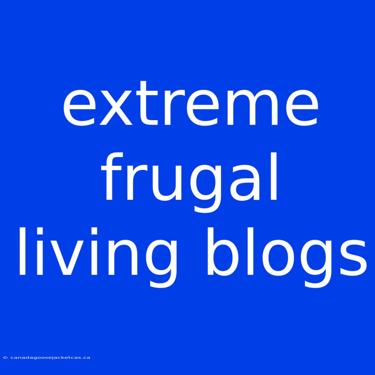 Extreme Frugal Living Blogs