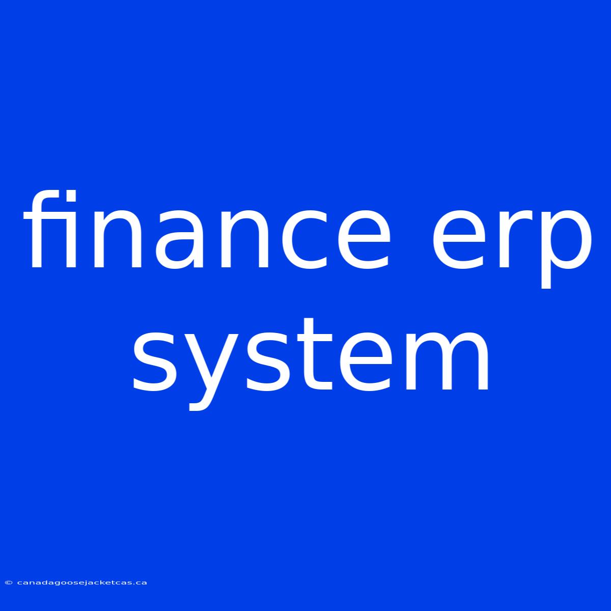 Finance Erp System