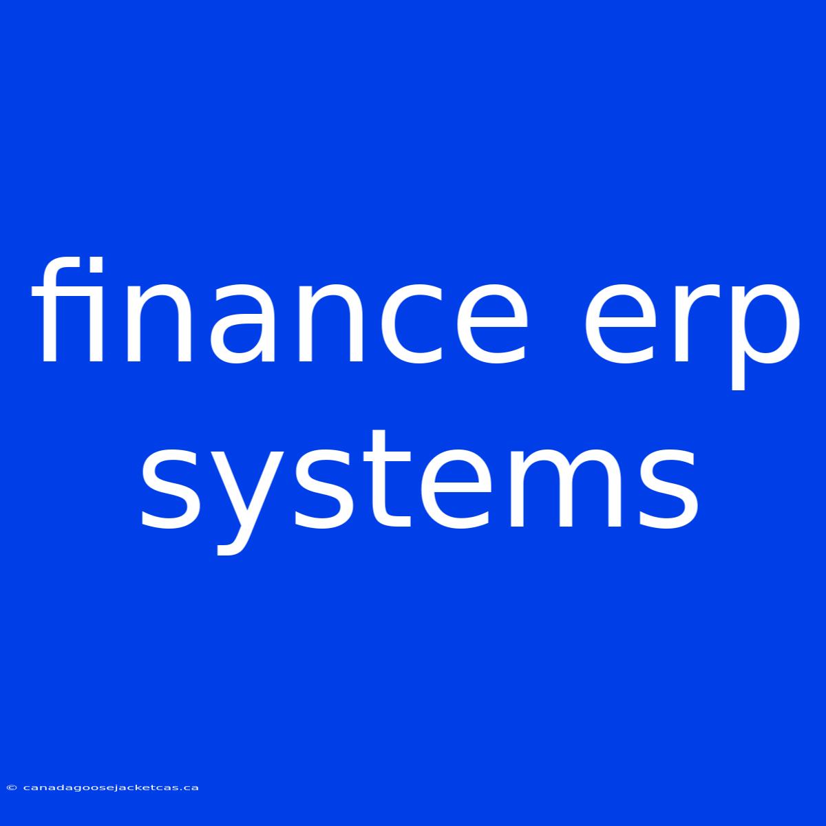 Finance Erp Systems