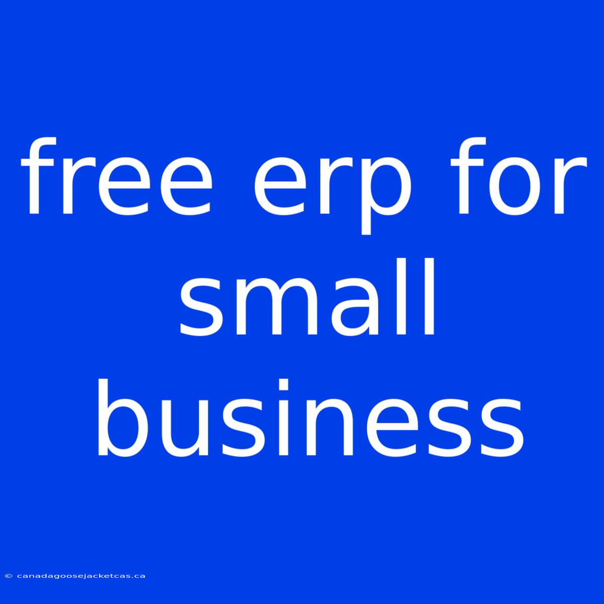 Free Erp For Small Business