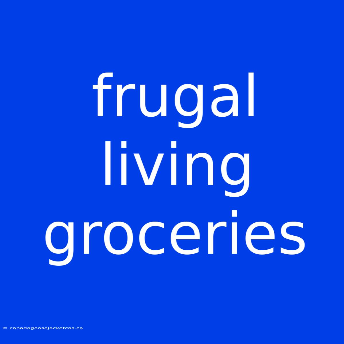 Frugal Living Groceries