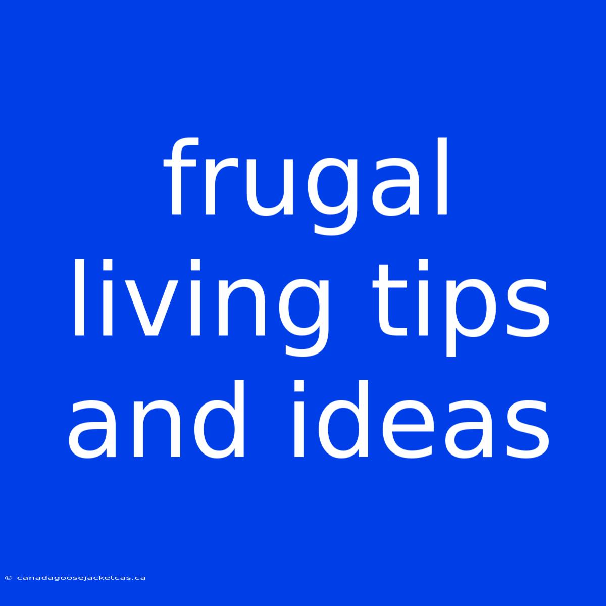 Frugal Living Tips And Ideas