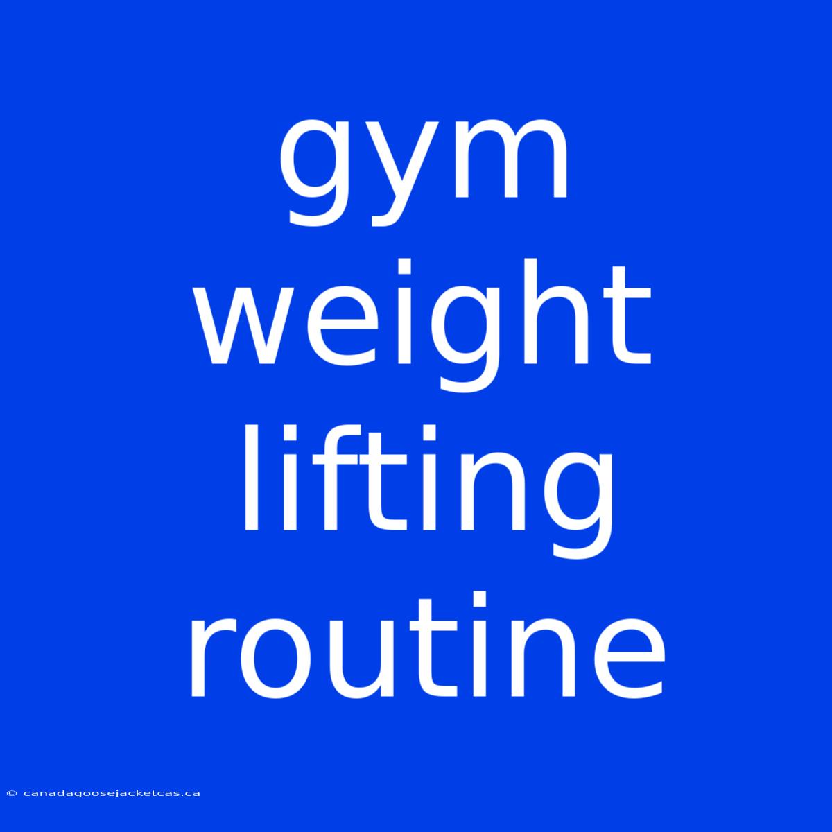 Gym Weight Lifting Routine