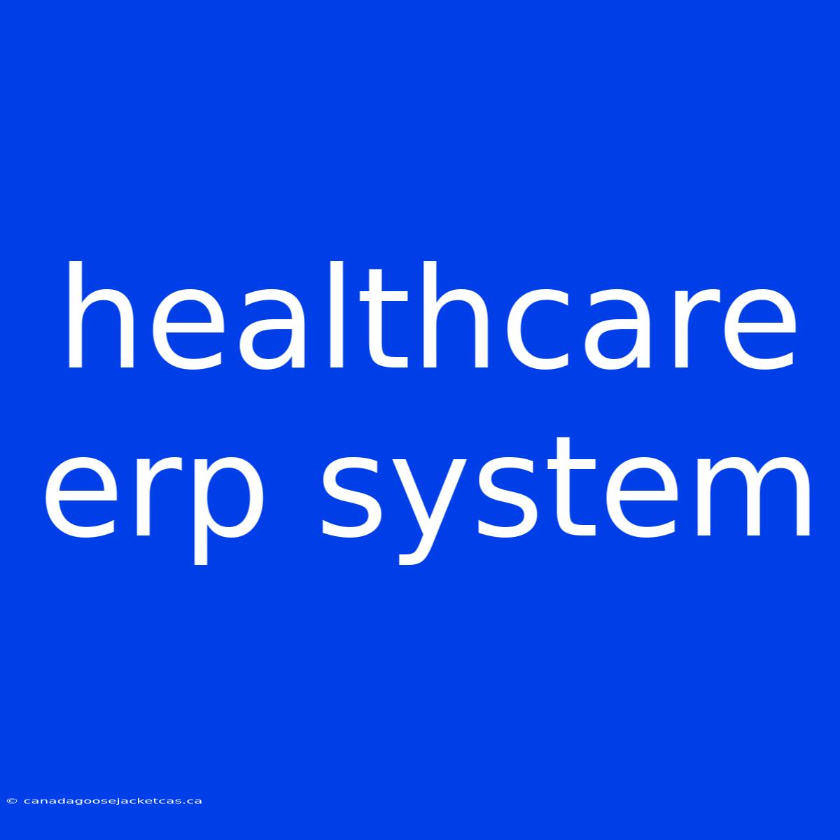 Healthcare Erp System