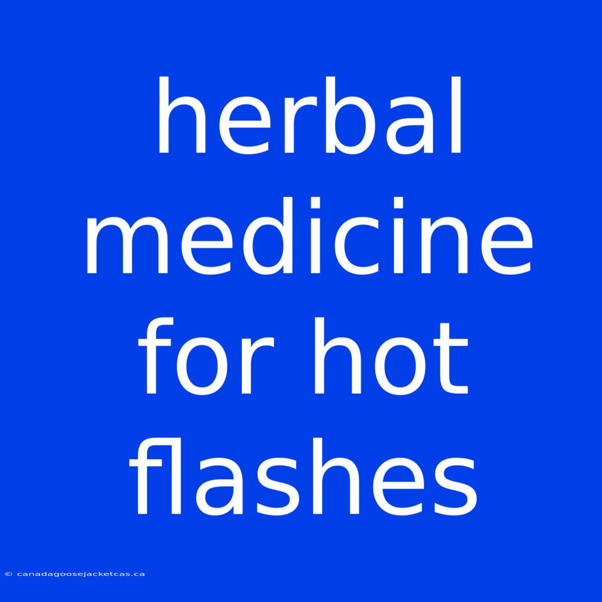 Herbal Medicine For Hot Flashes