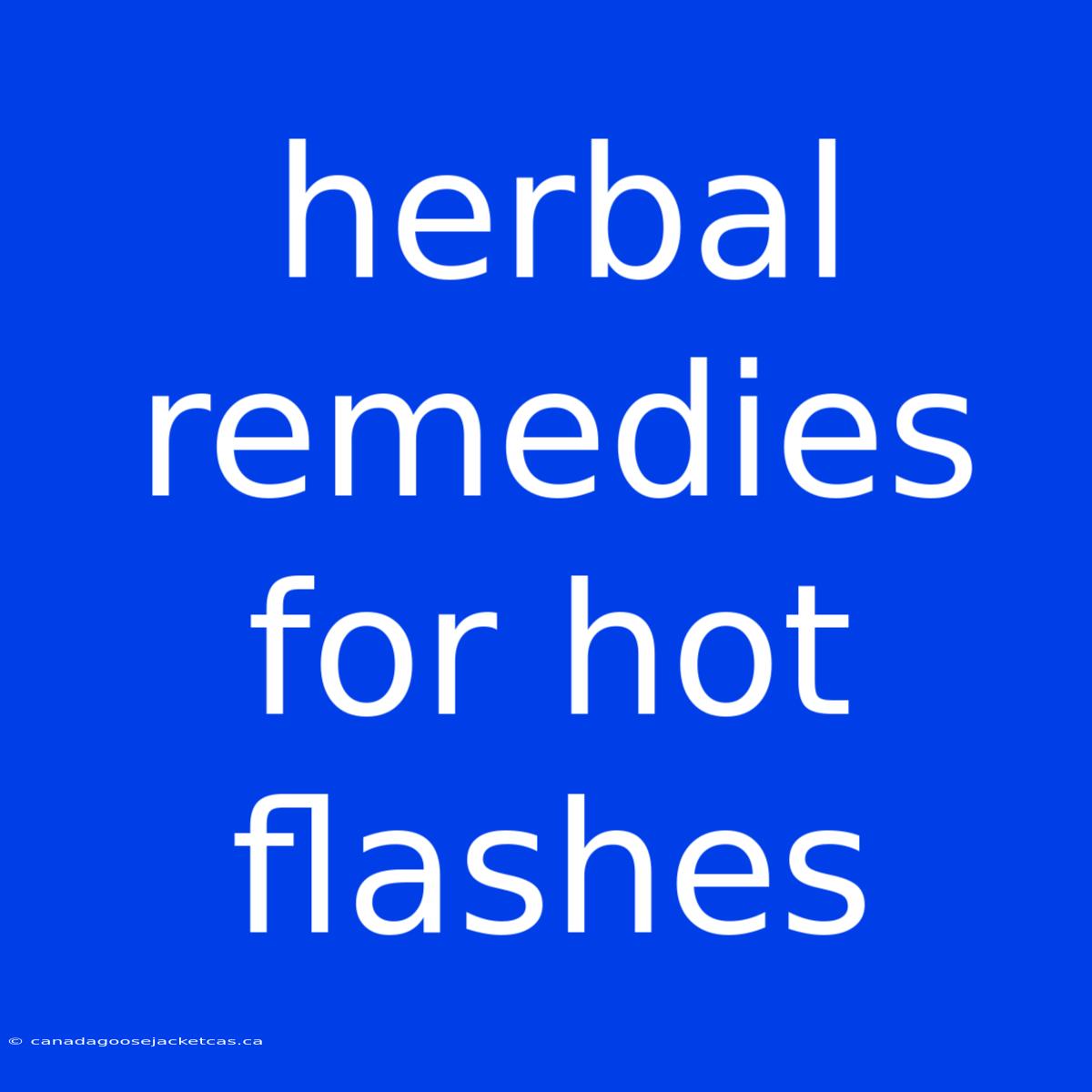 Herbal Remedies For Hot Flashes