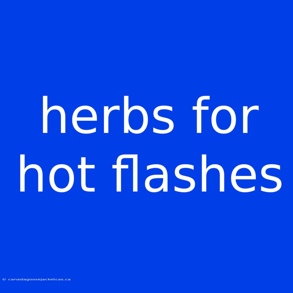 Herbs For Hot Flashes