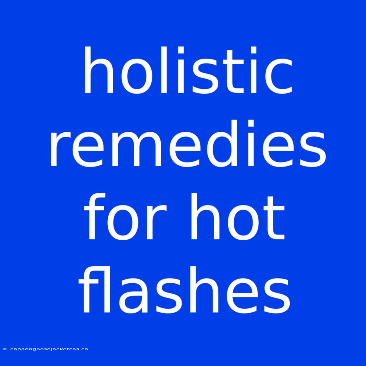 Holistic Remedies For Hot Flashes