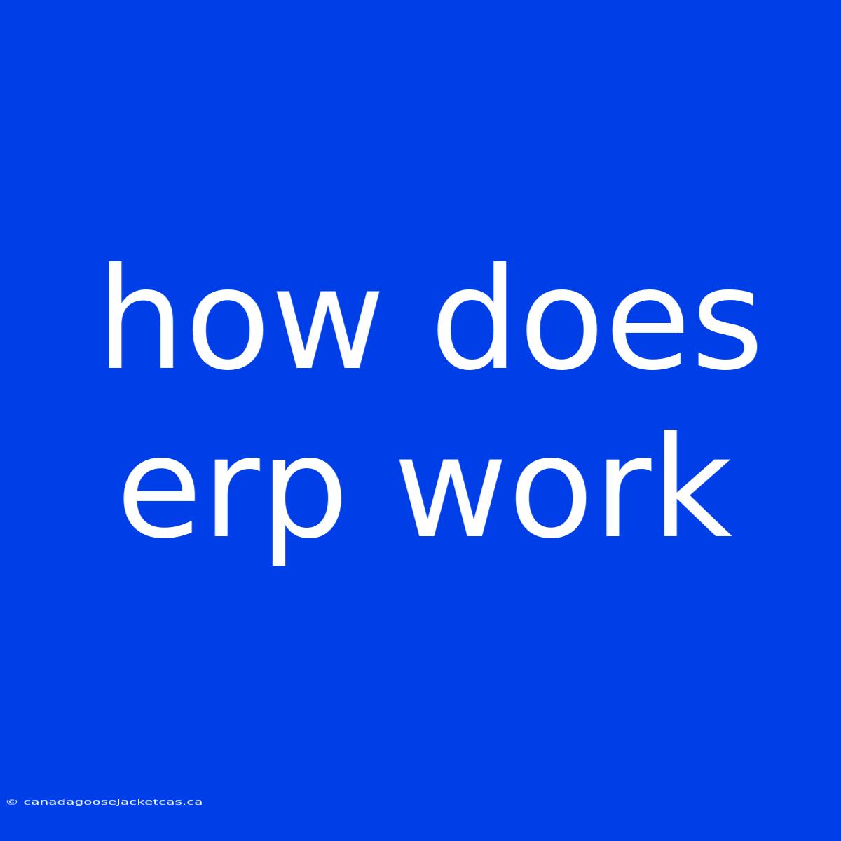 How Does Erp Work