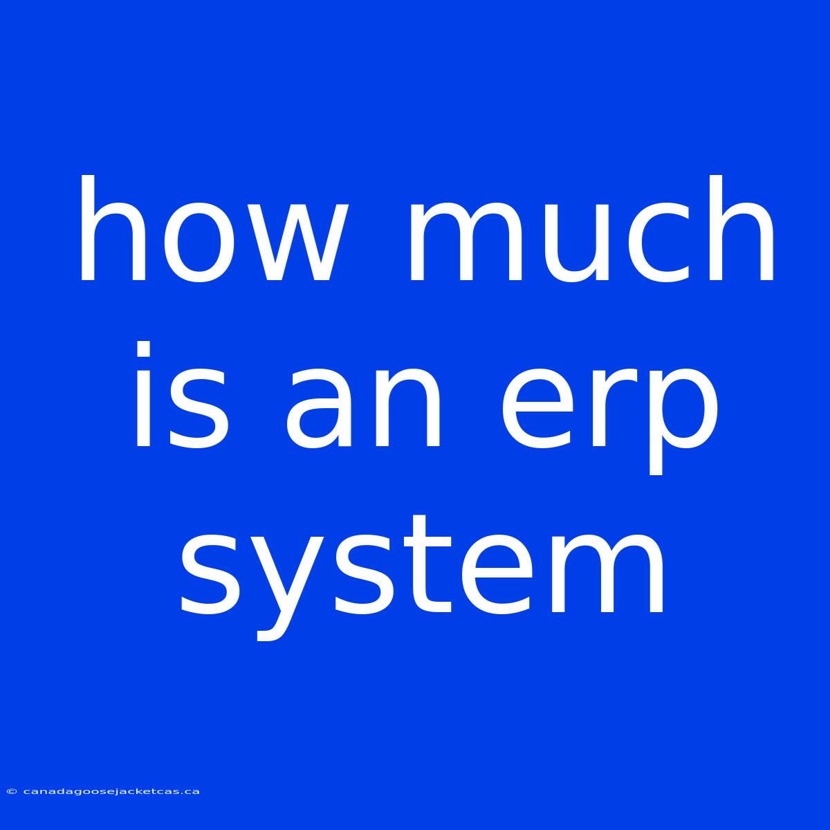 How Much Is An Erp System