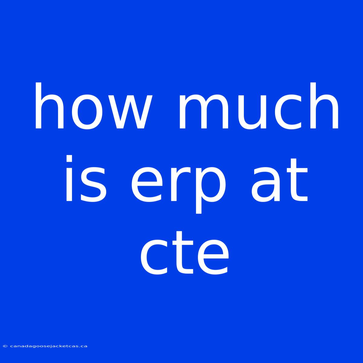 How Much Is Erp At Cte