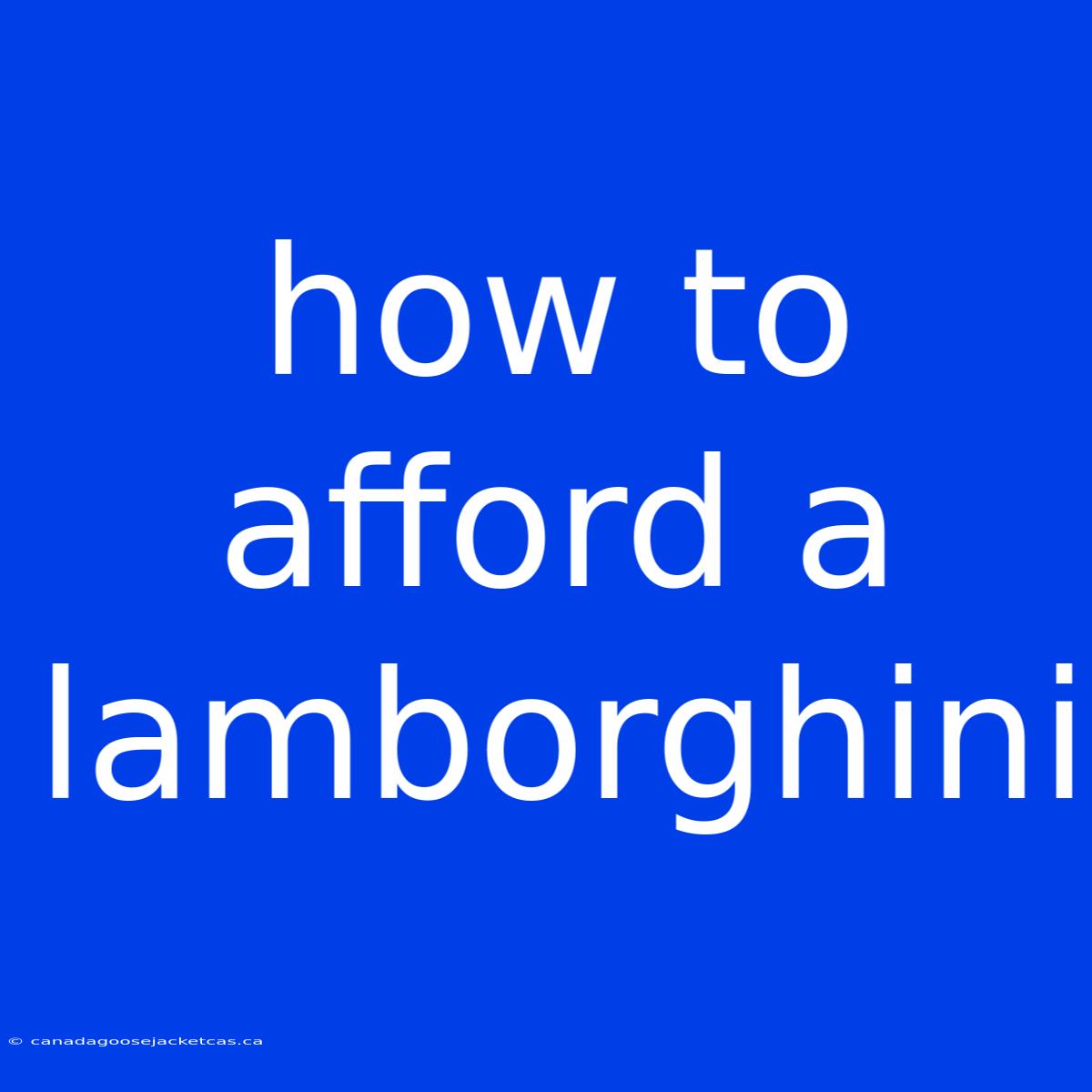 How To Afford A Lamborghini