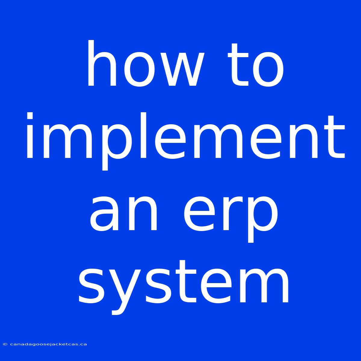 How To Implement An Erp System