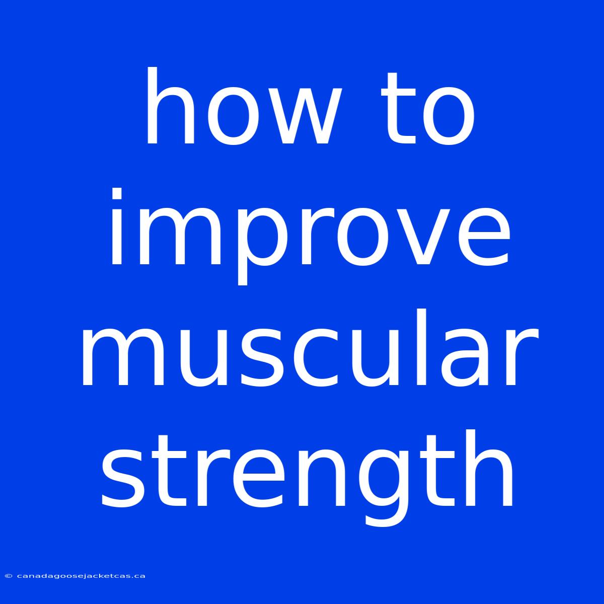 How To Improve Muscular Strength