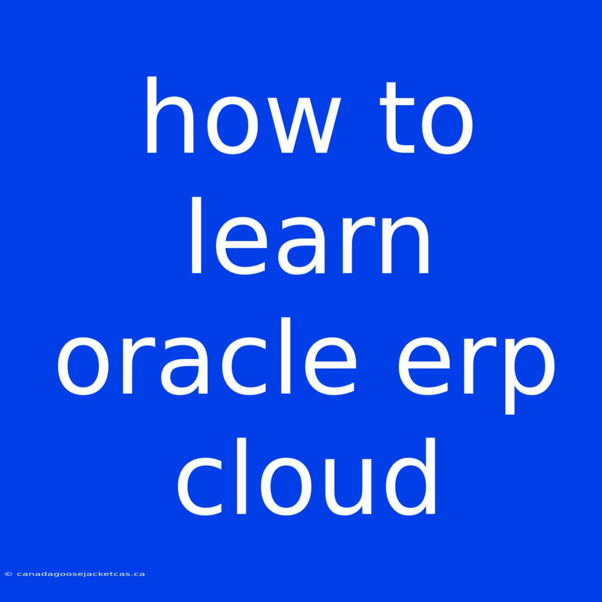 How To Learn Oracle Erp Cloud