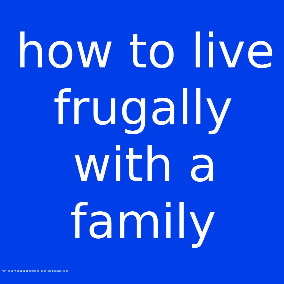 How To Live Frugally With A Family