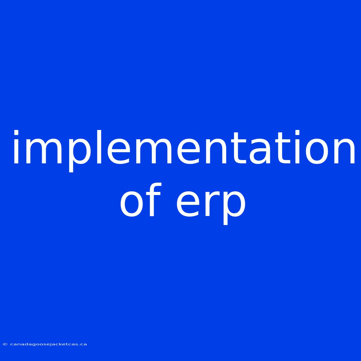 Implementation Of Erp