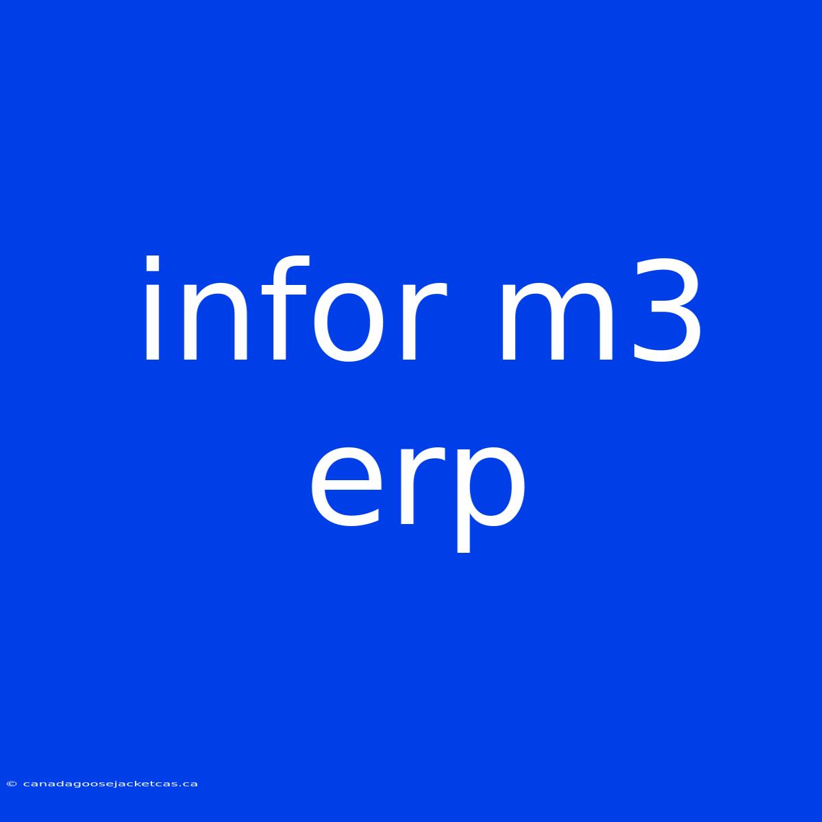 Infor M3 Erp