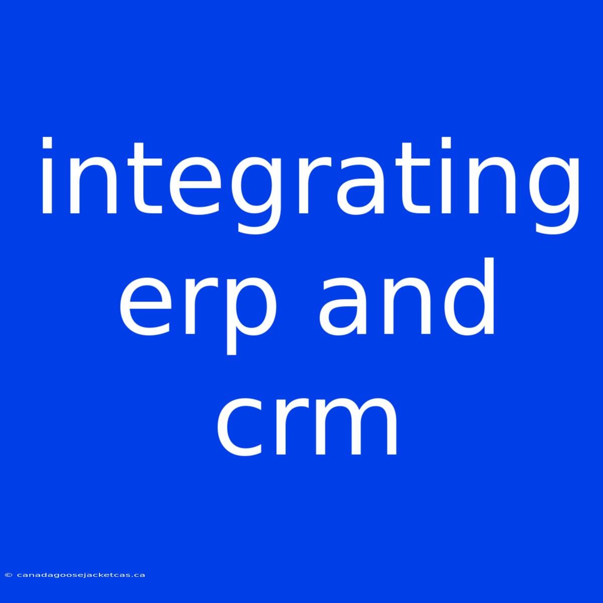 Integrating Erp And Crm