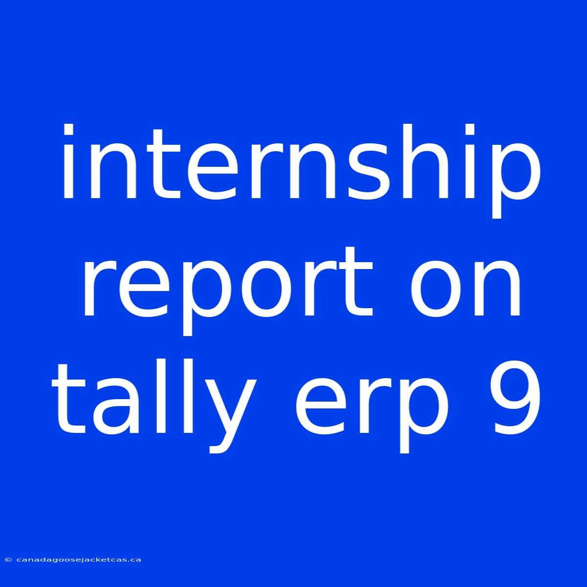 Internship Report On Tally Erp 9