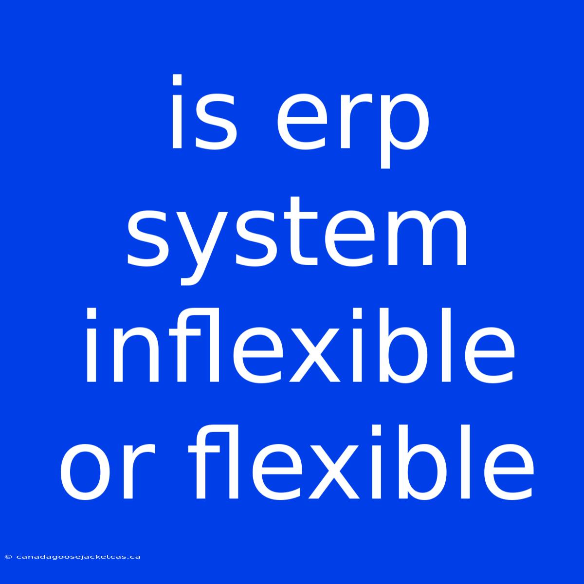 Is Erp System Inflexible Or Flexible