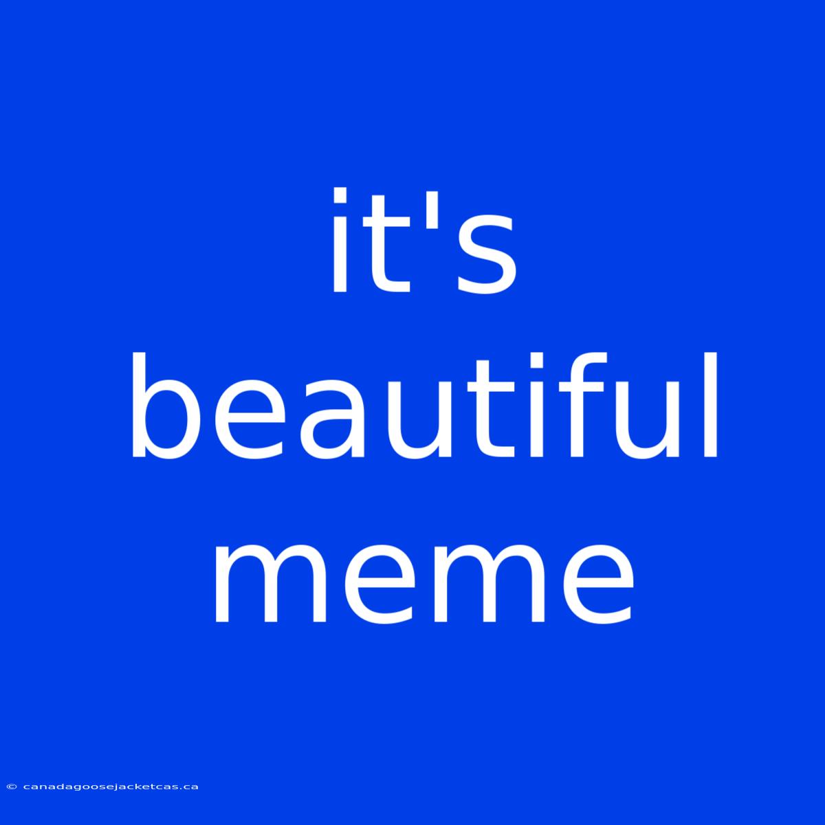 It's Beautiful Meme