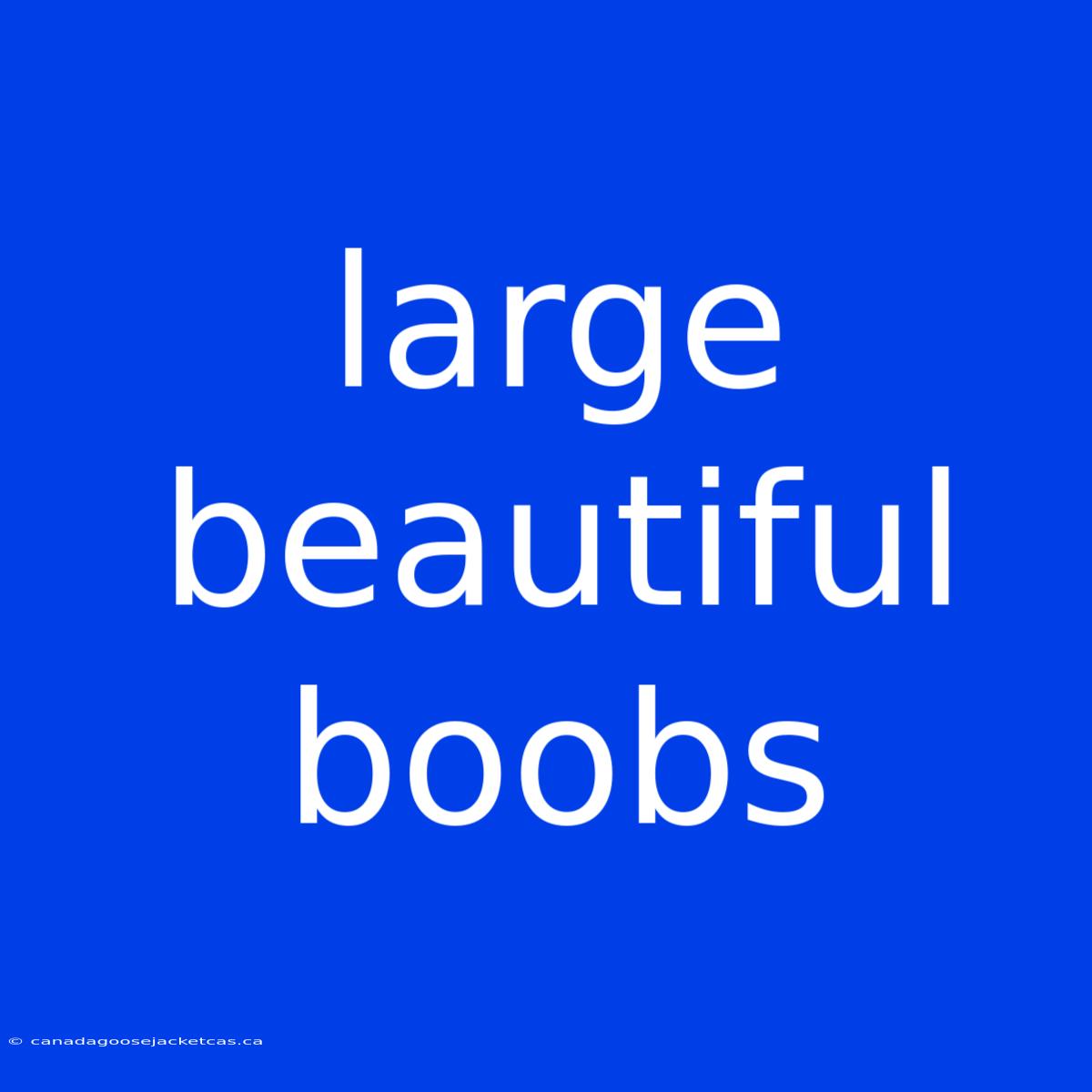 Large Beautiful Boobs