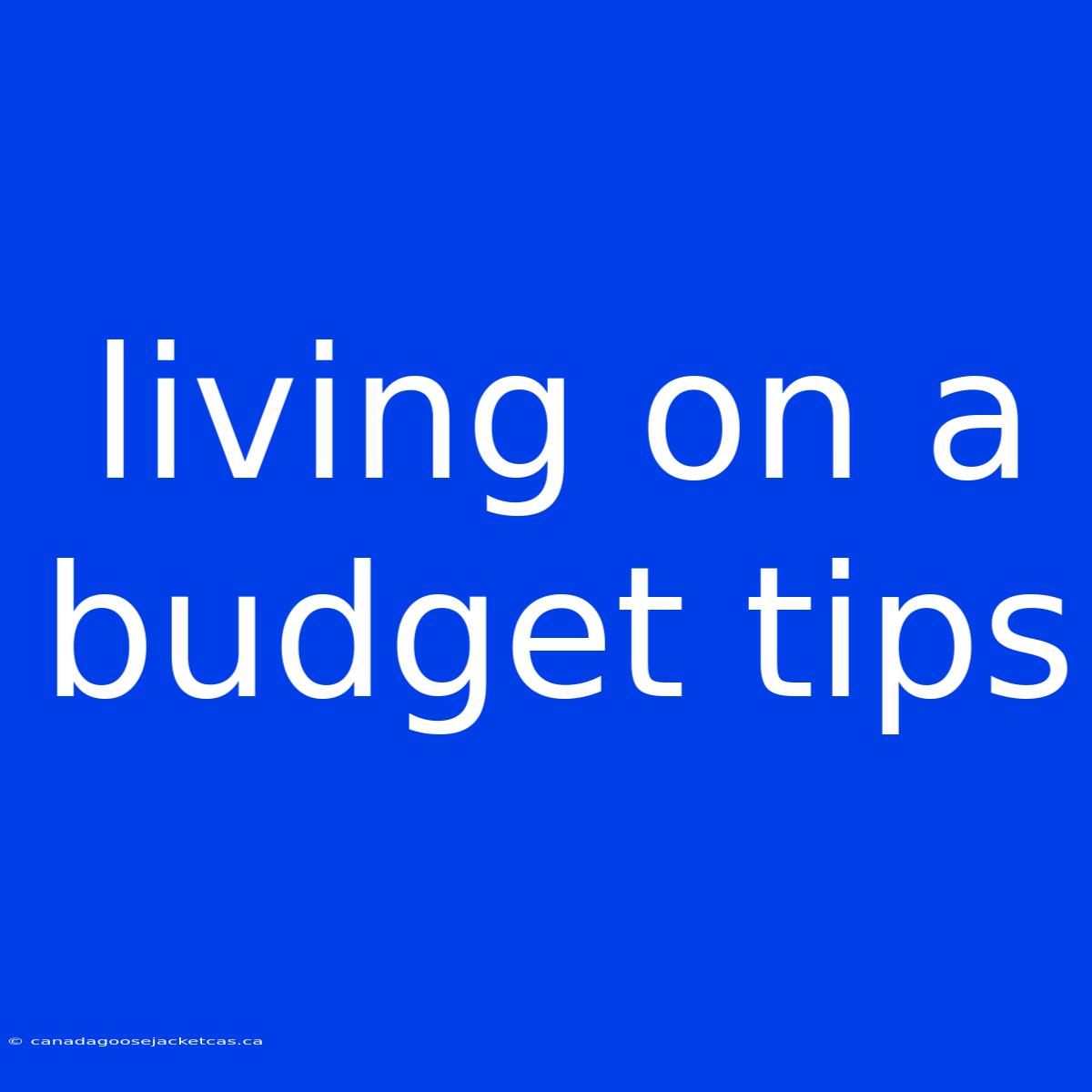 Living On A Budget Tips