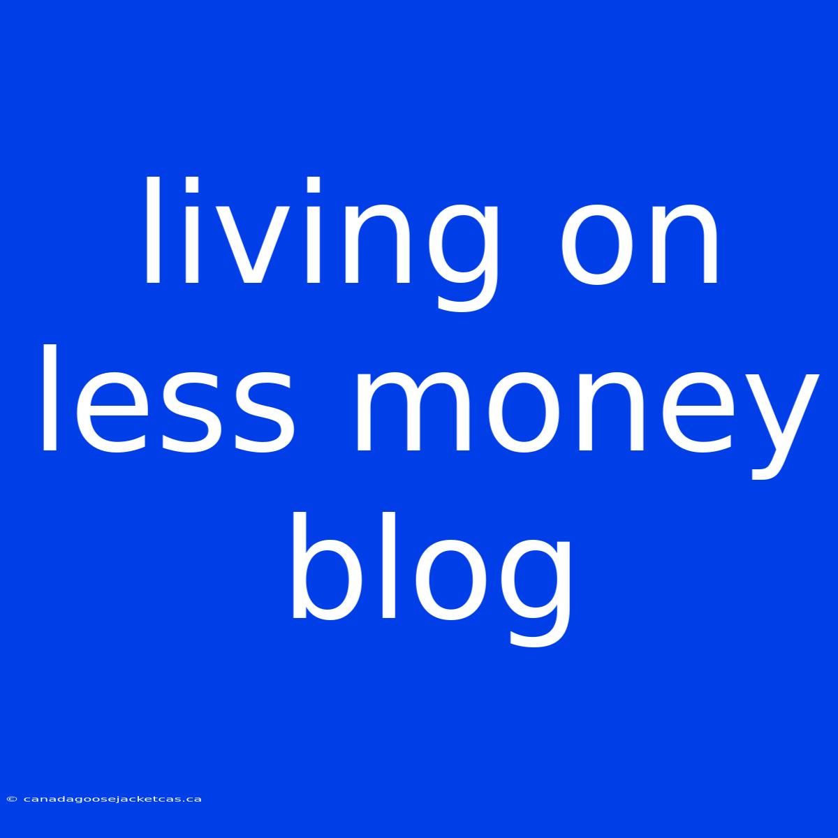 Living On Less Money Blog