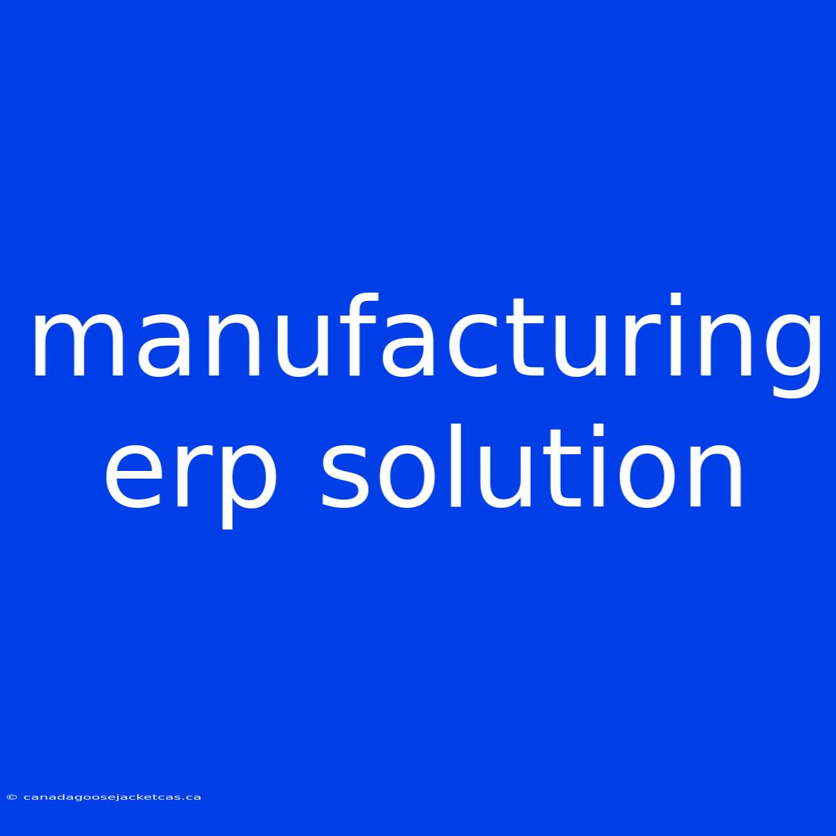 Manufacturing Erp Solution