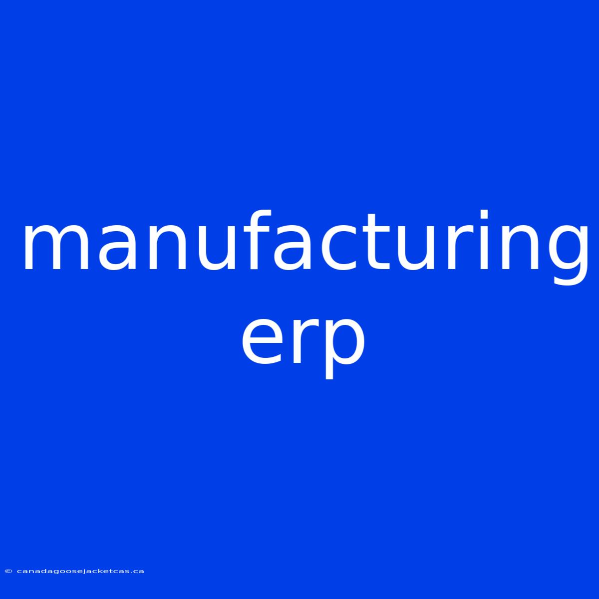 Manufacturing Erp