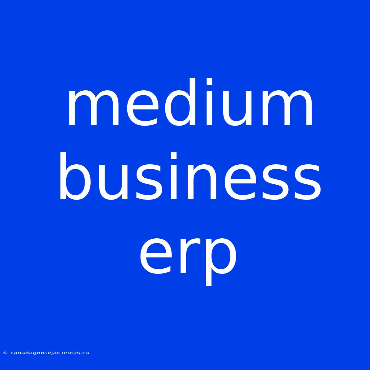 Medium Business Erp