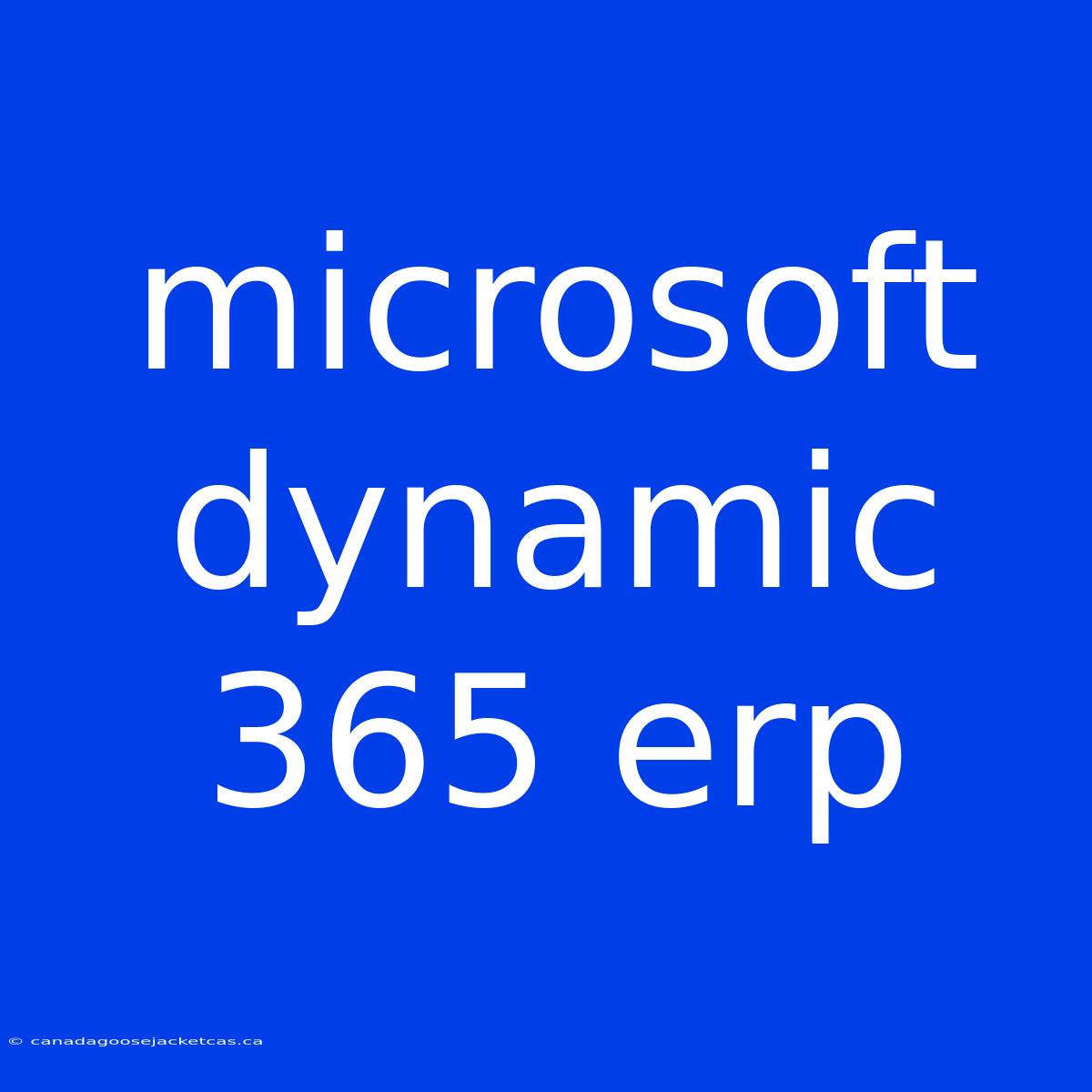 Microsoft Dynamic 365 Erp